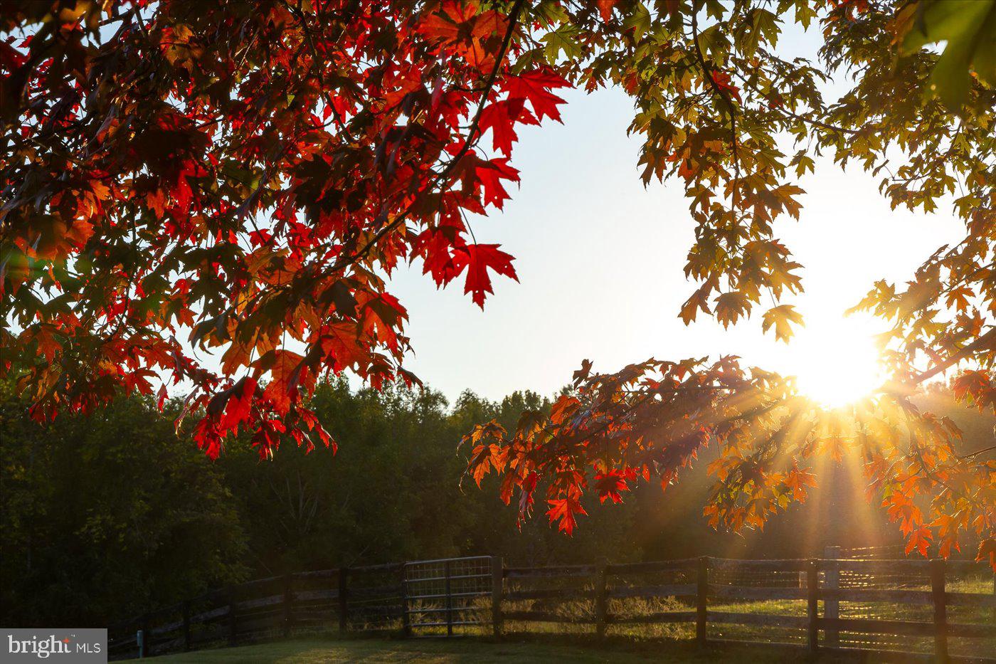 10623 Gravel Road