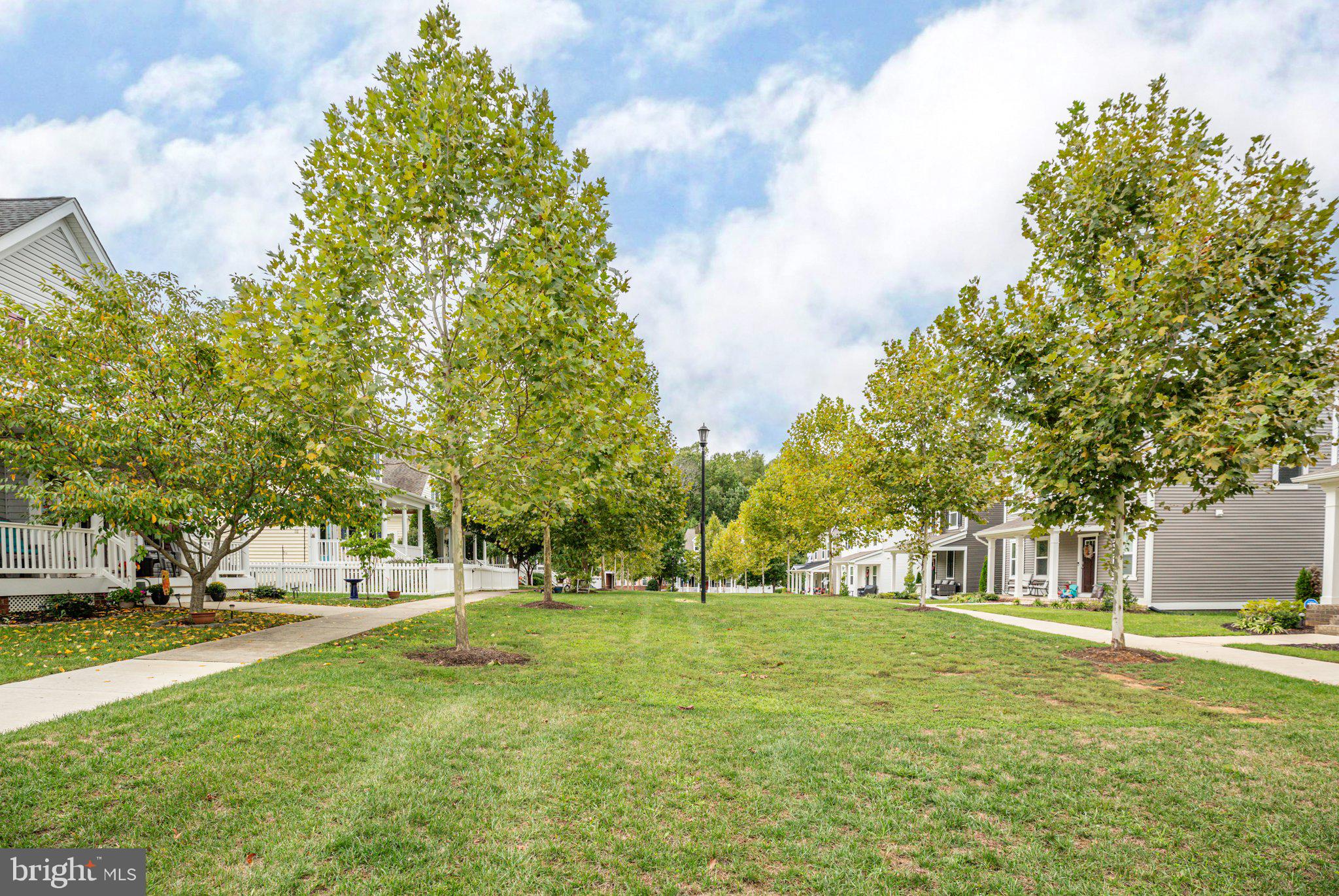 7128 John Marshall MEWS