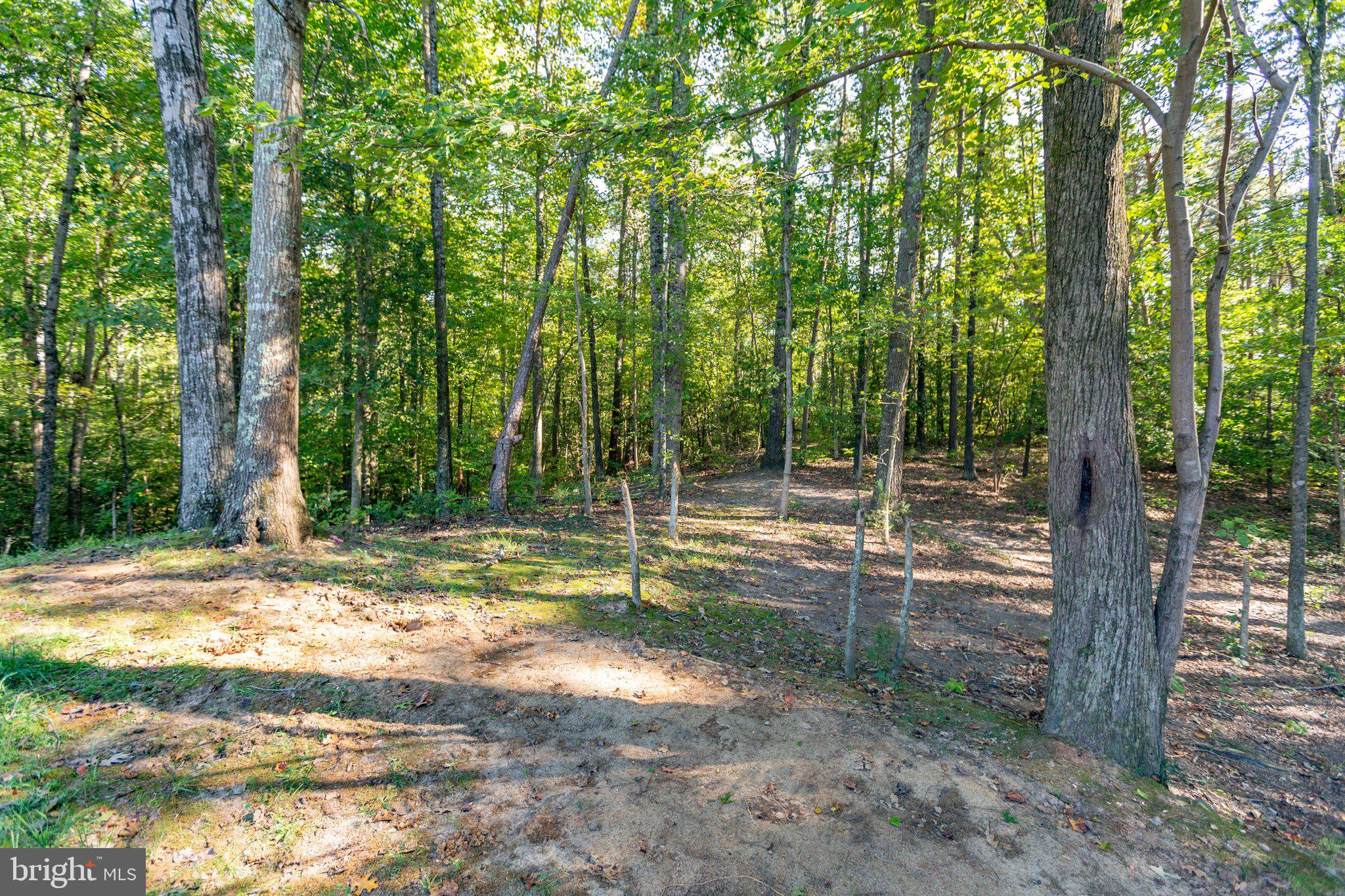 11342 McKenney Drive