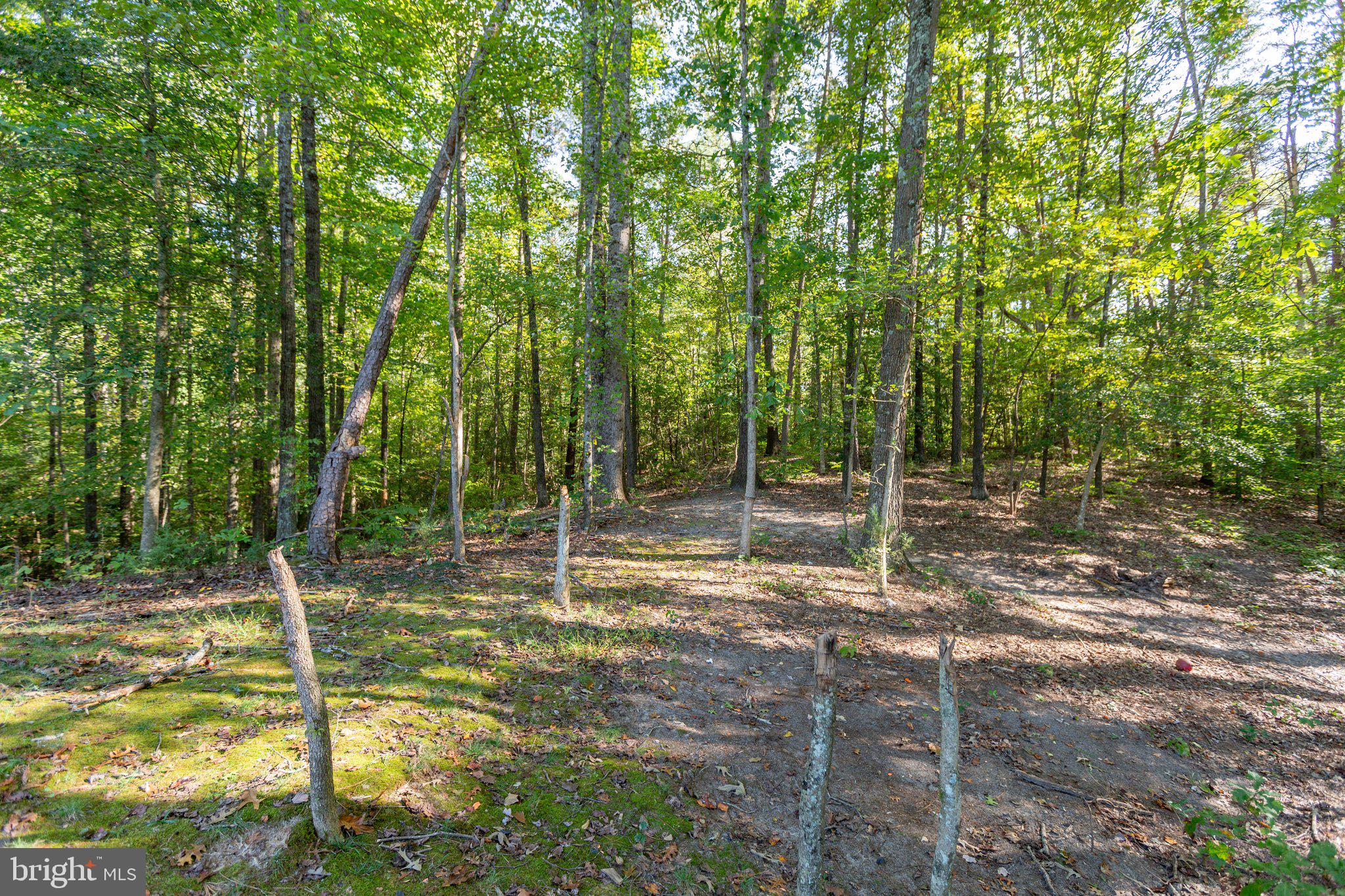 11342 McKenney Drive