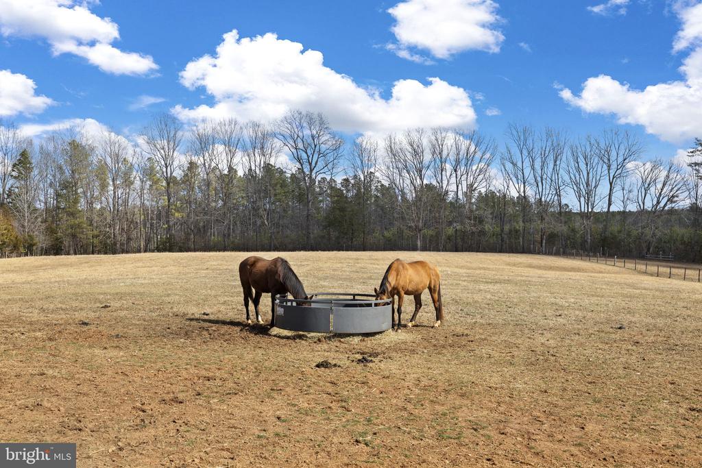 1815 COUNTRY ROAD