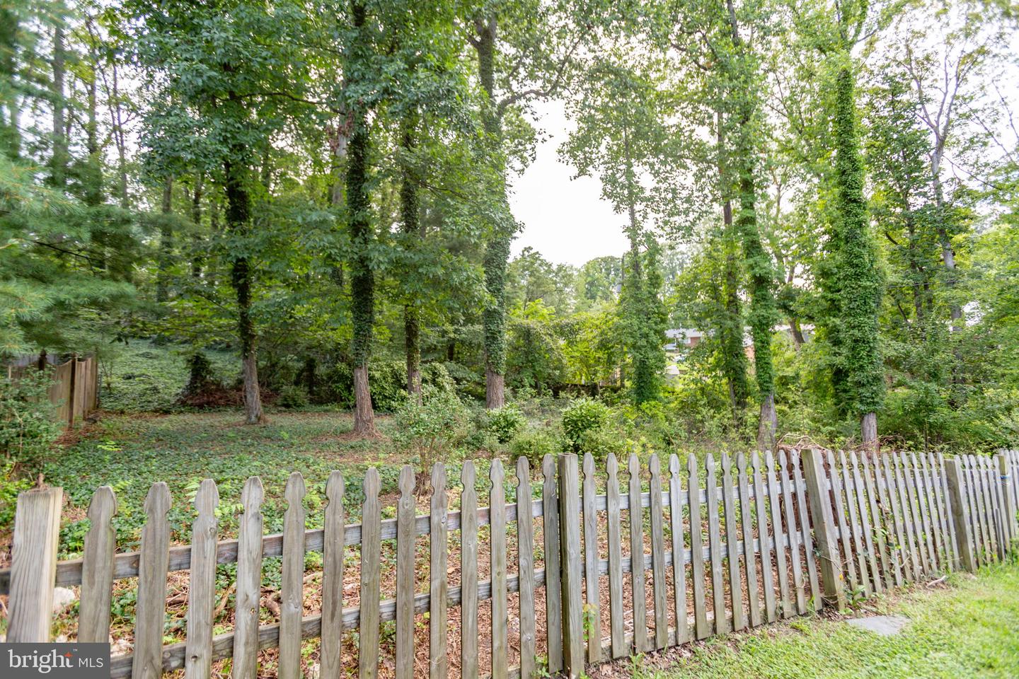 3 Warfield Pl