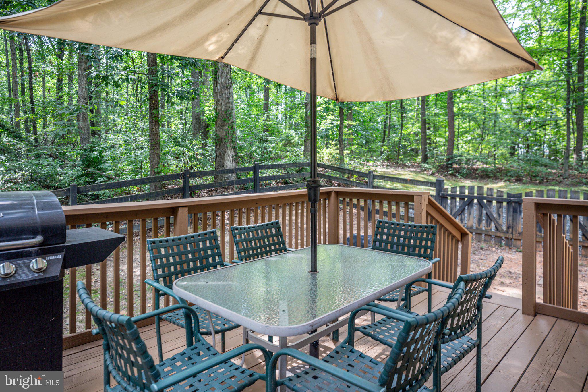 12733 Hunters Grove COURT