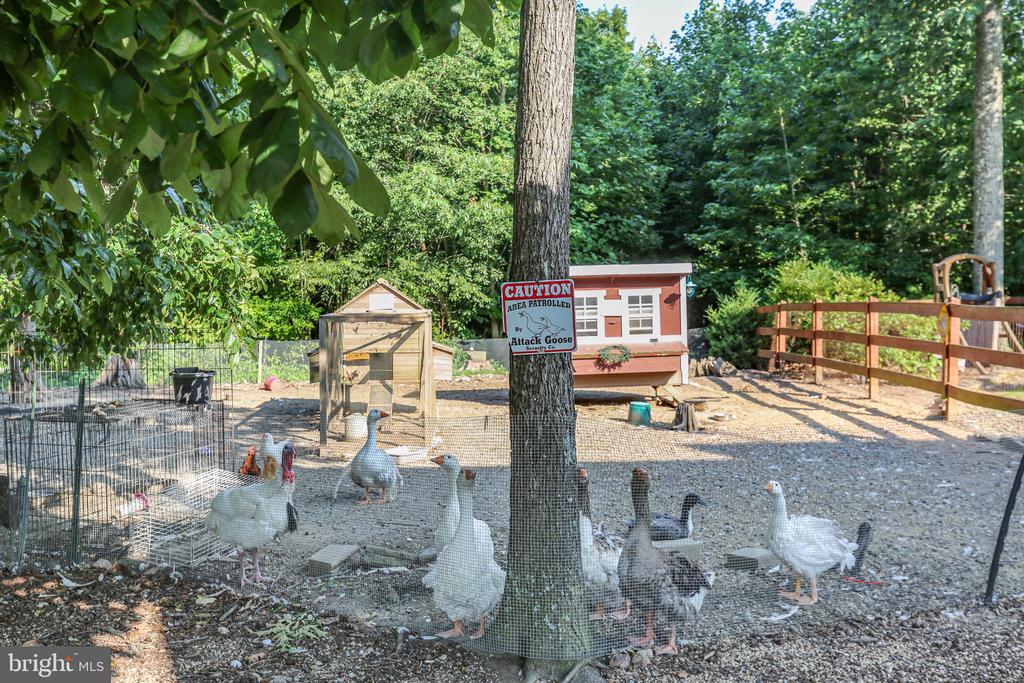 17024 White Pine Rd