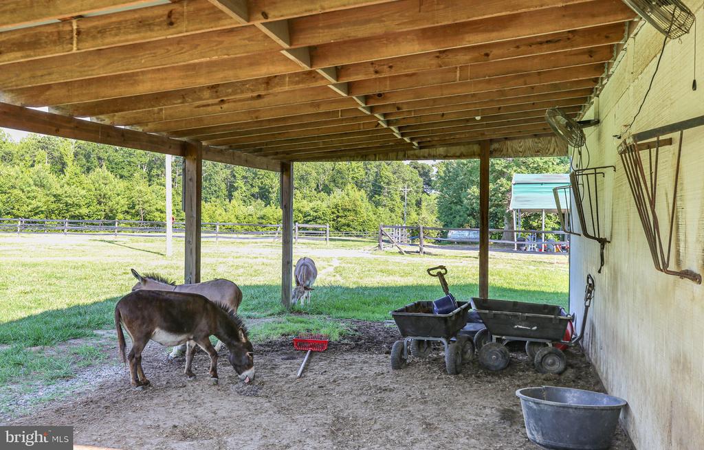 17024 White Pine Rd