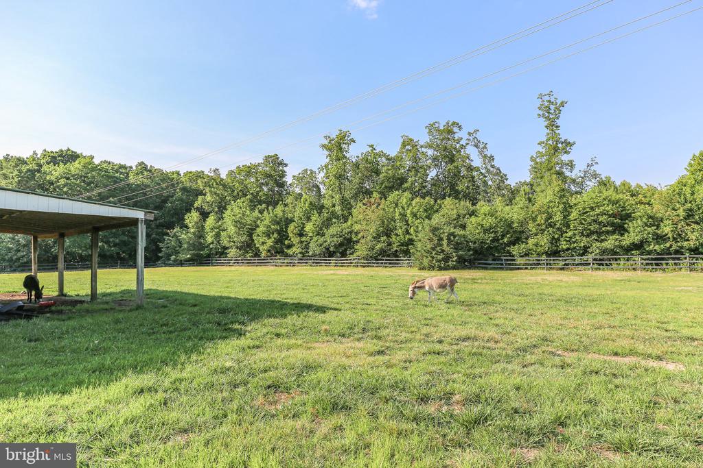 17024 White Pine Rd