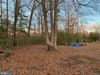 16476 School House Road