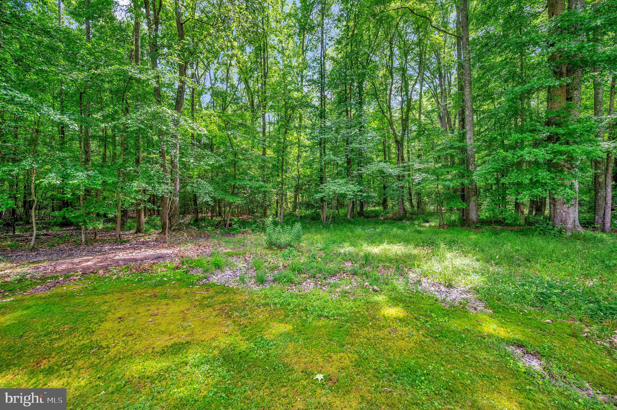 15370 FLEMING STREET