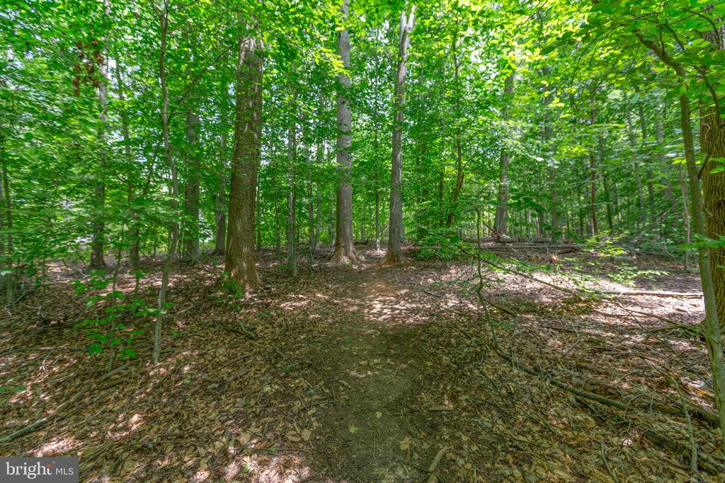 4659 TURKEY ACRES ROAD
