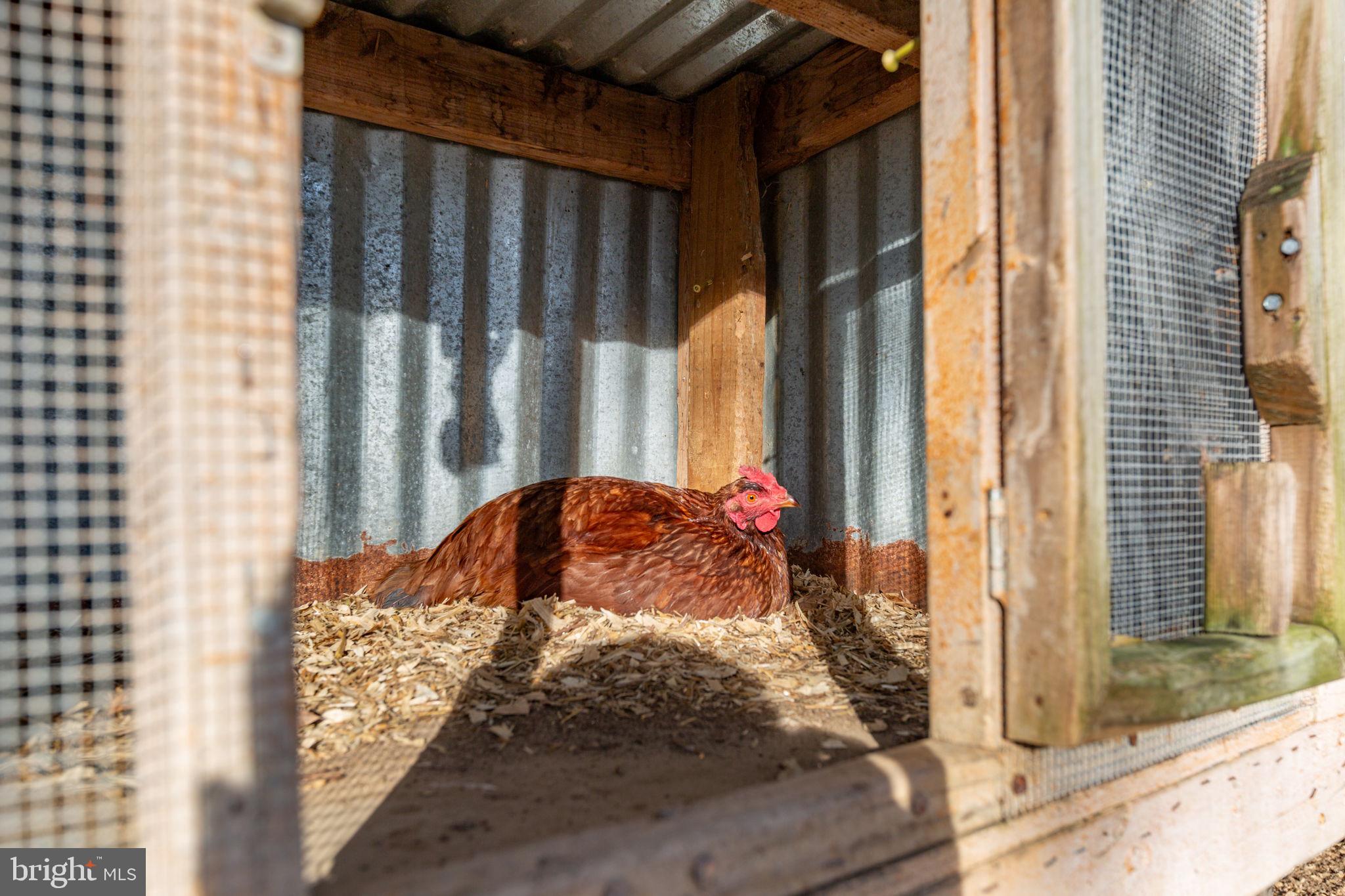 81 LEYLAND FARMS DRIVE