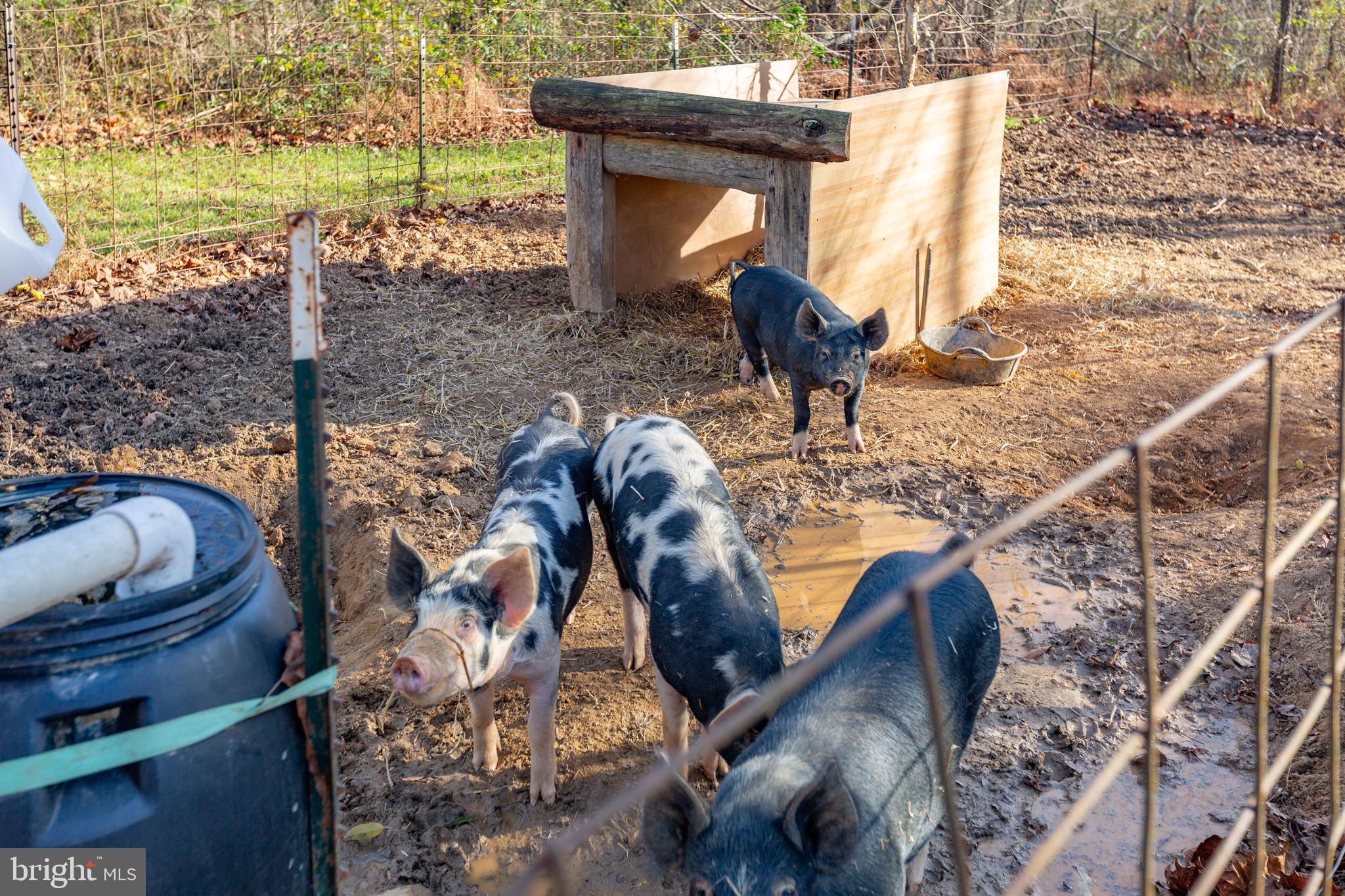 81 LEYLAND FARMS DRIVE