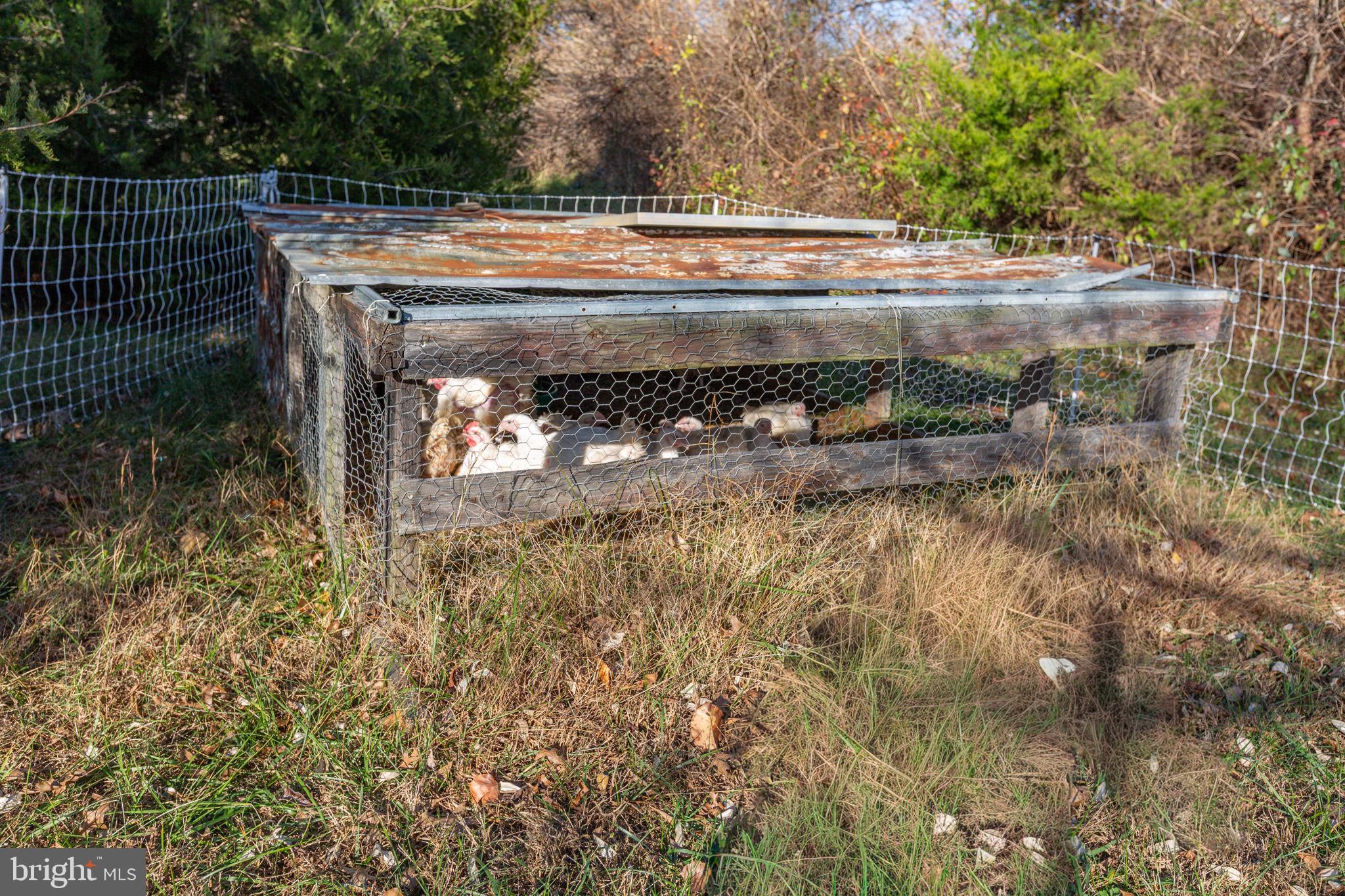 81 LEYLAND FARMS DRIVE