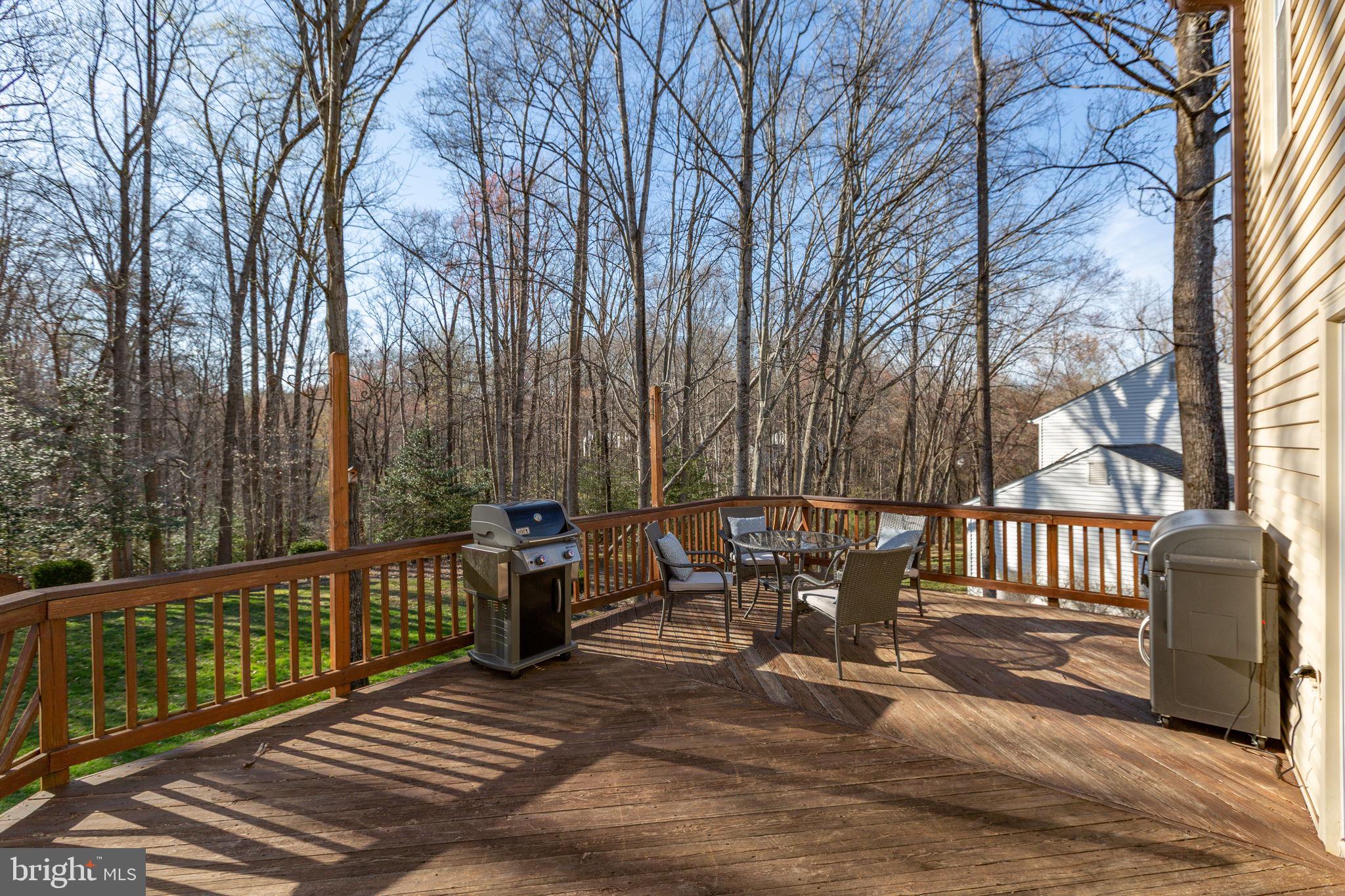 12534 BELFIELD COURT