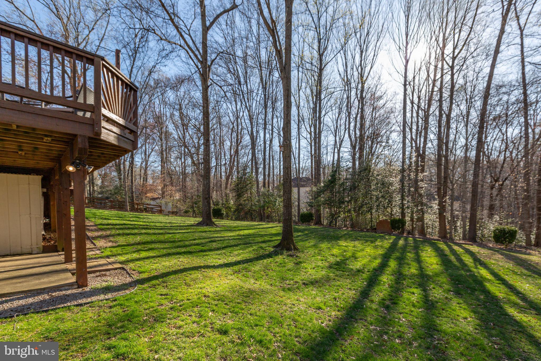 12534 BELFIELD COURT
