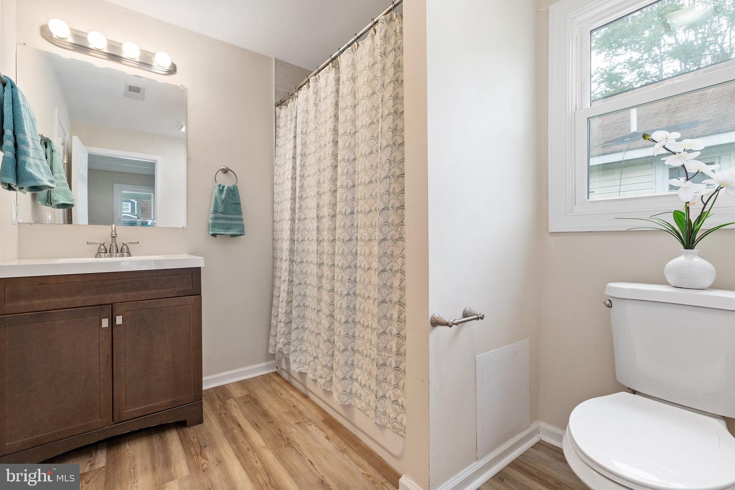 186 Mansfield STREET