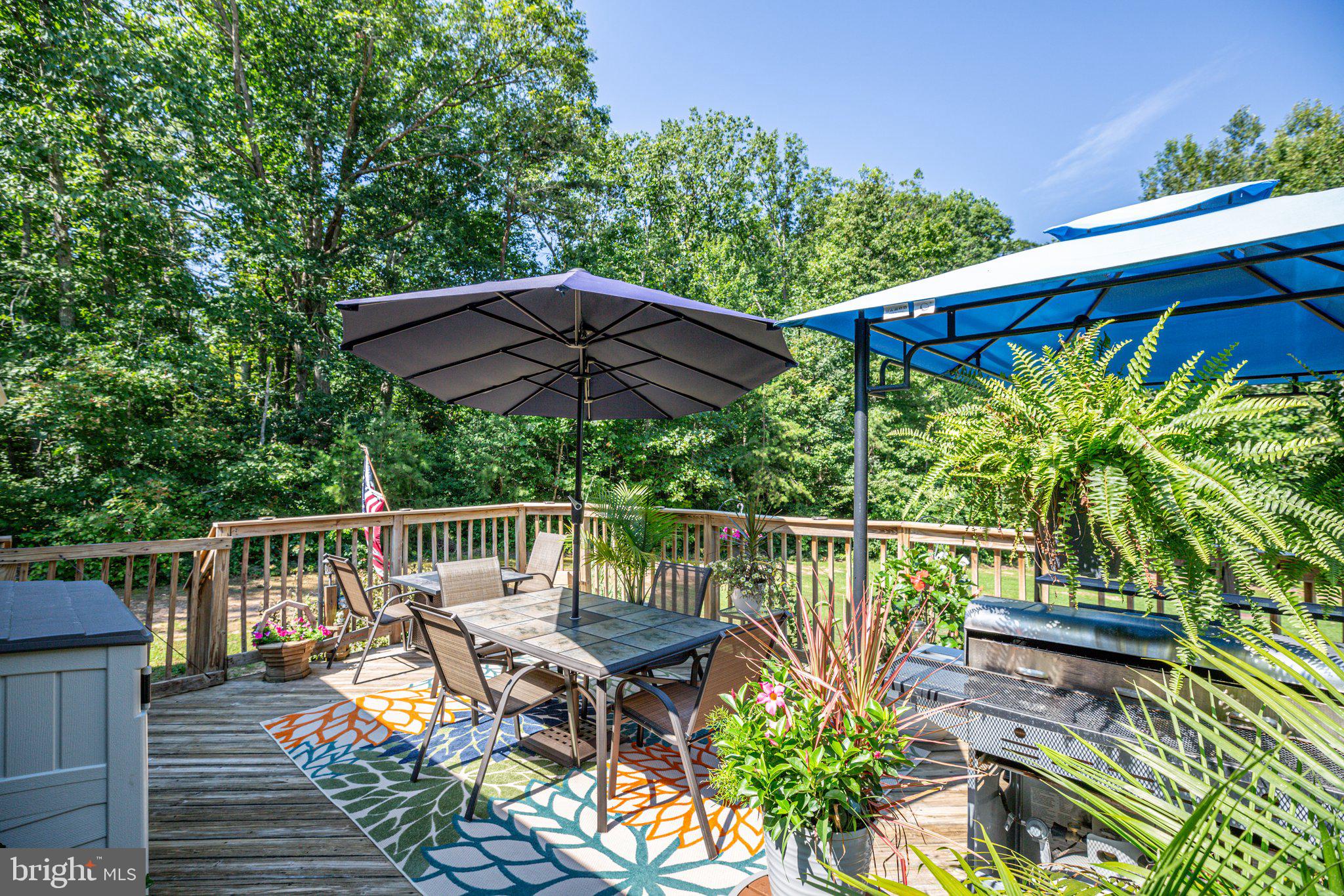 4116 Jasper LANE