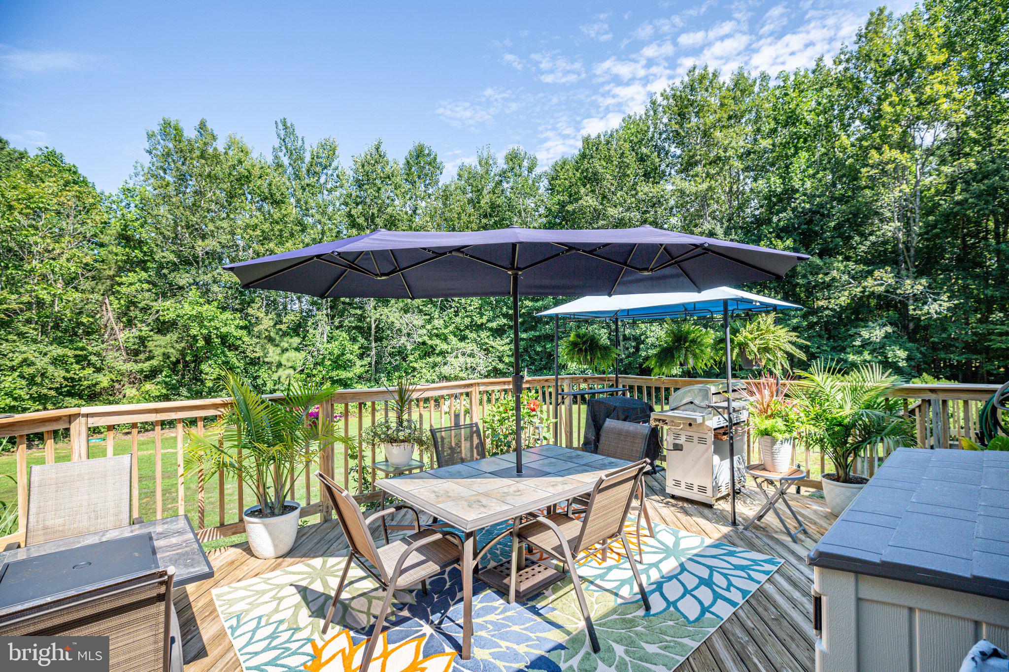 4116 Jasper LANE