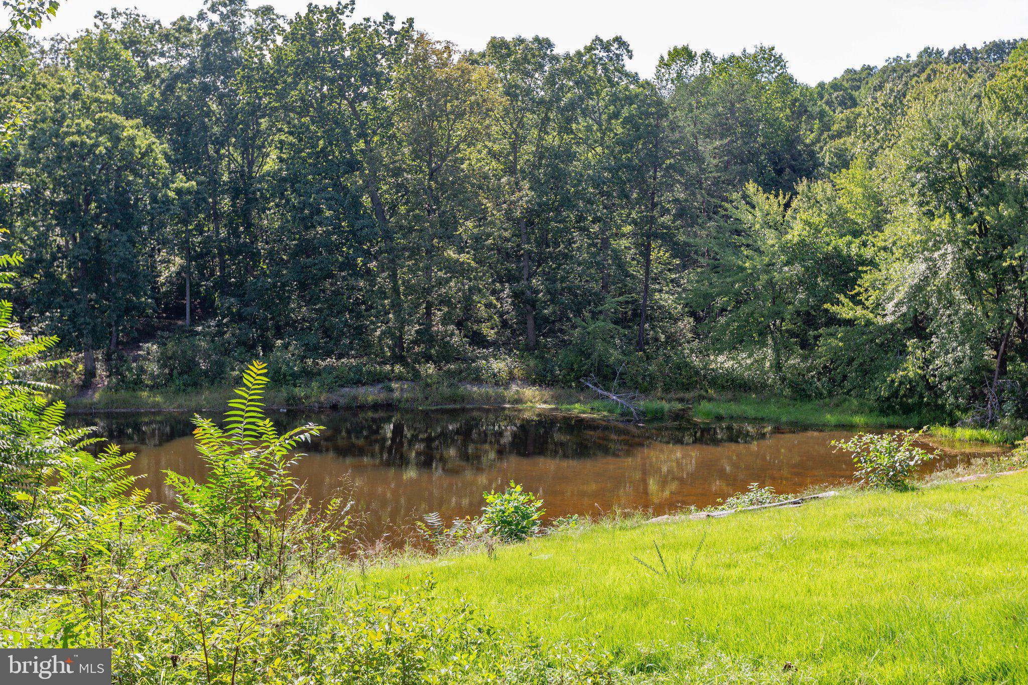 10602 Watford Lane
