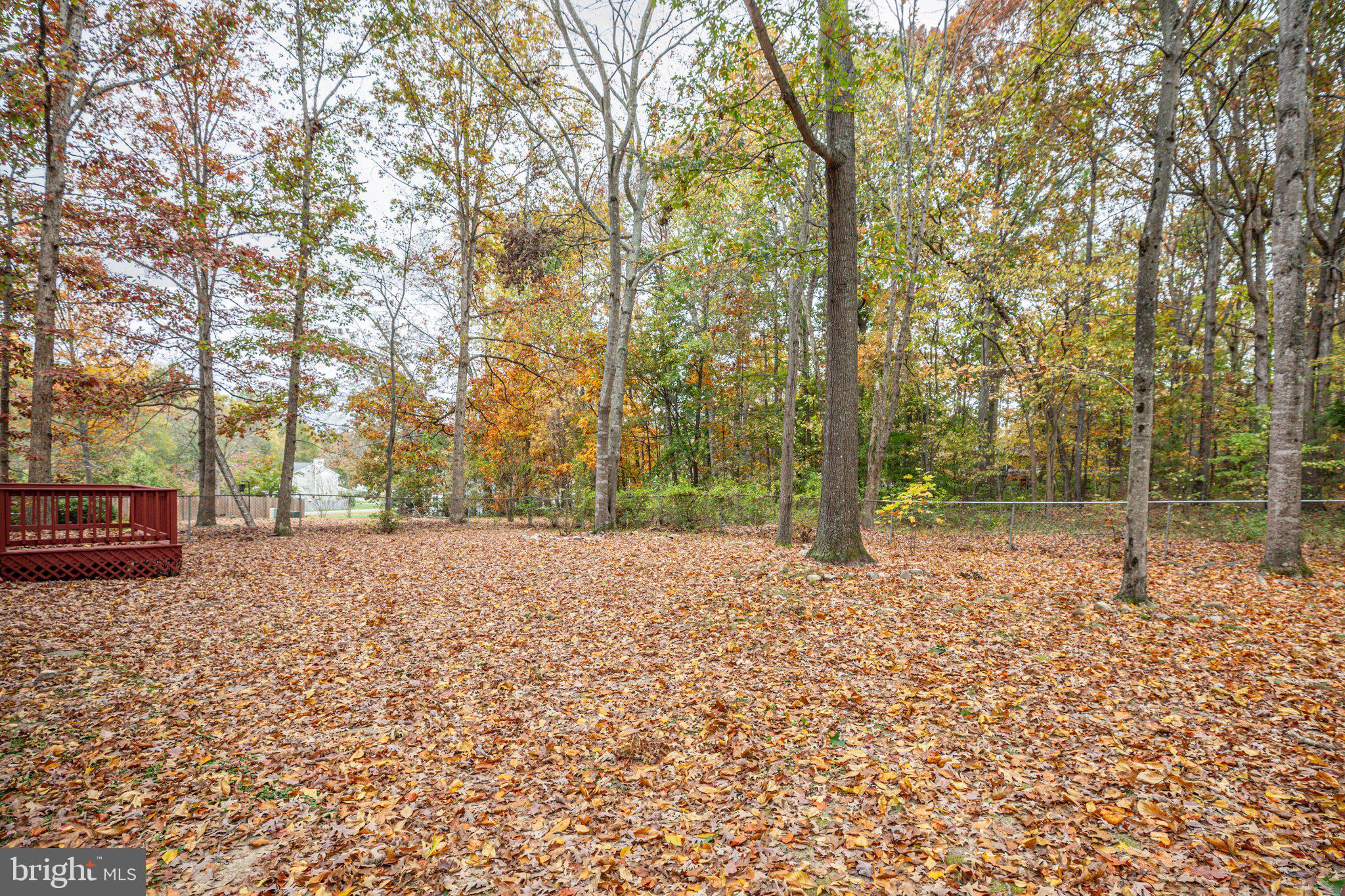 10804 Chesterwood Drive