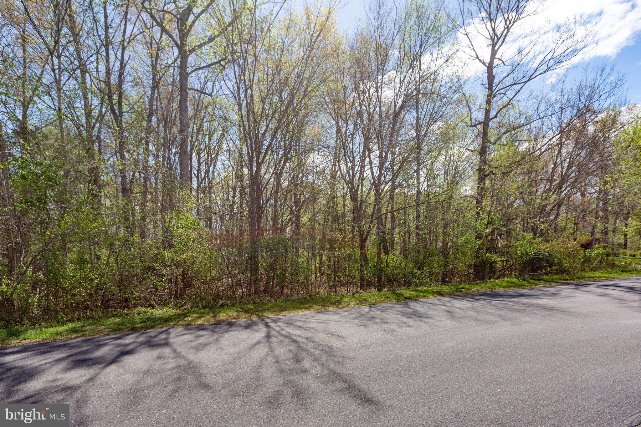 5605 Hickory Tree Ln