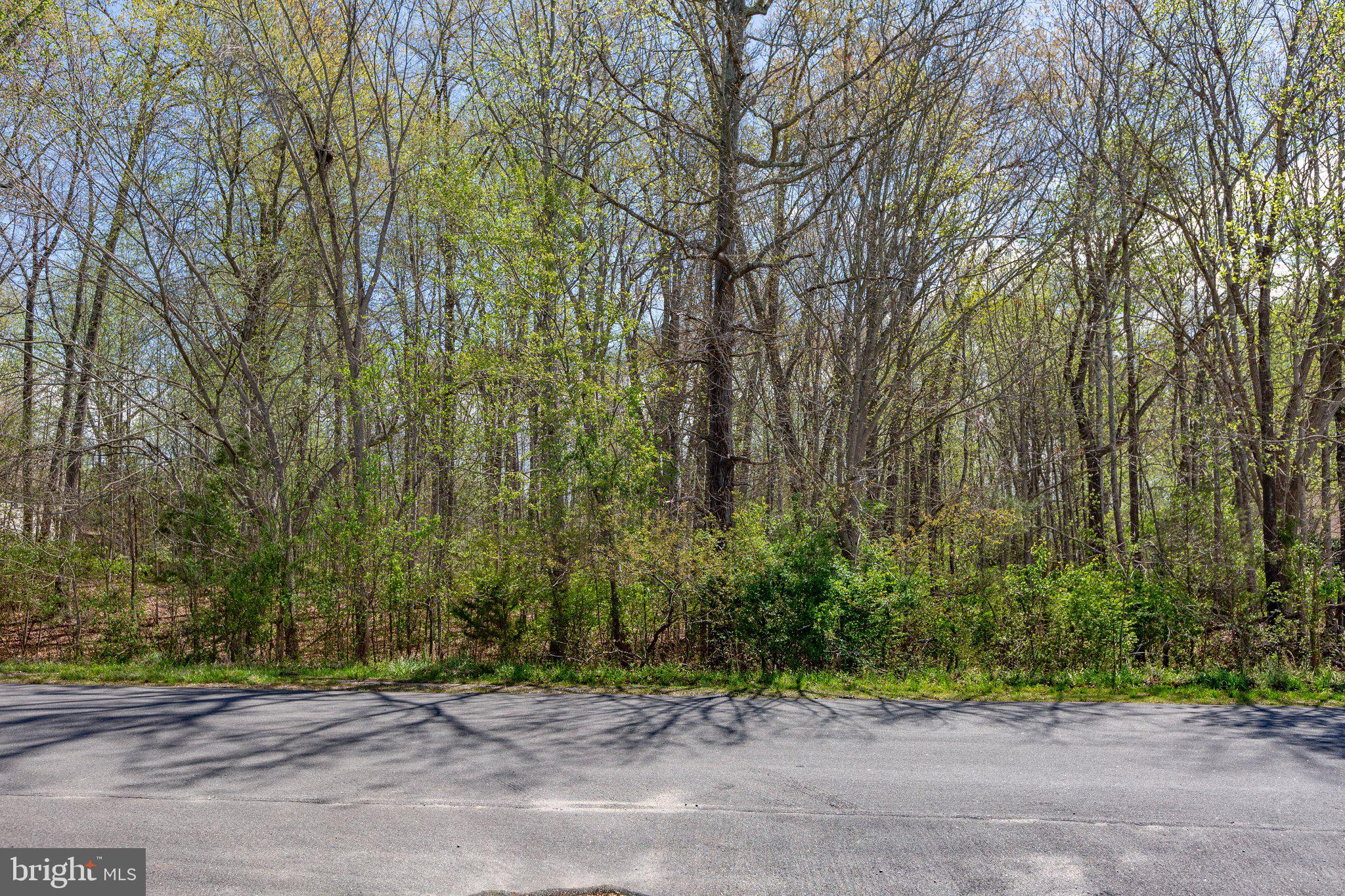 5605 Hickory Tree Ln