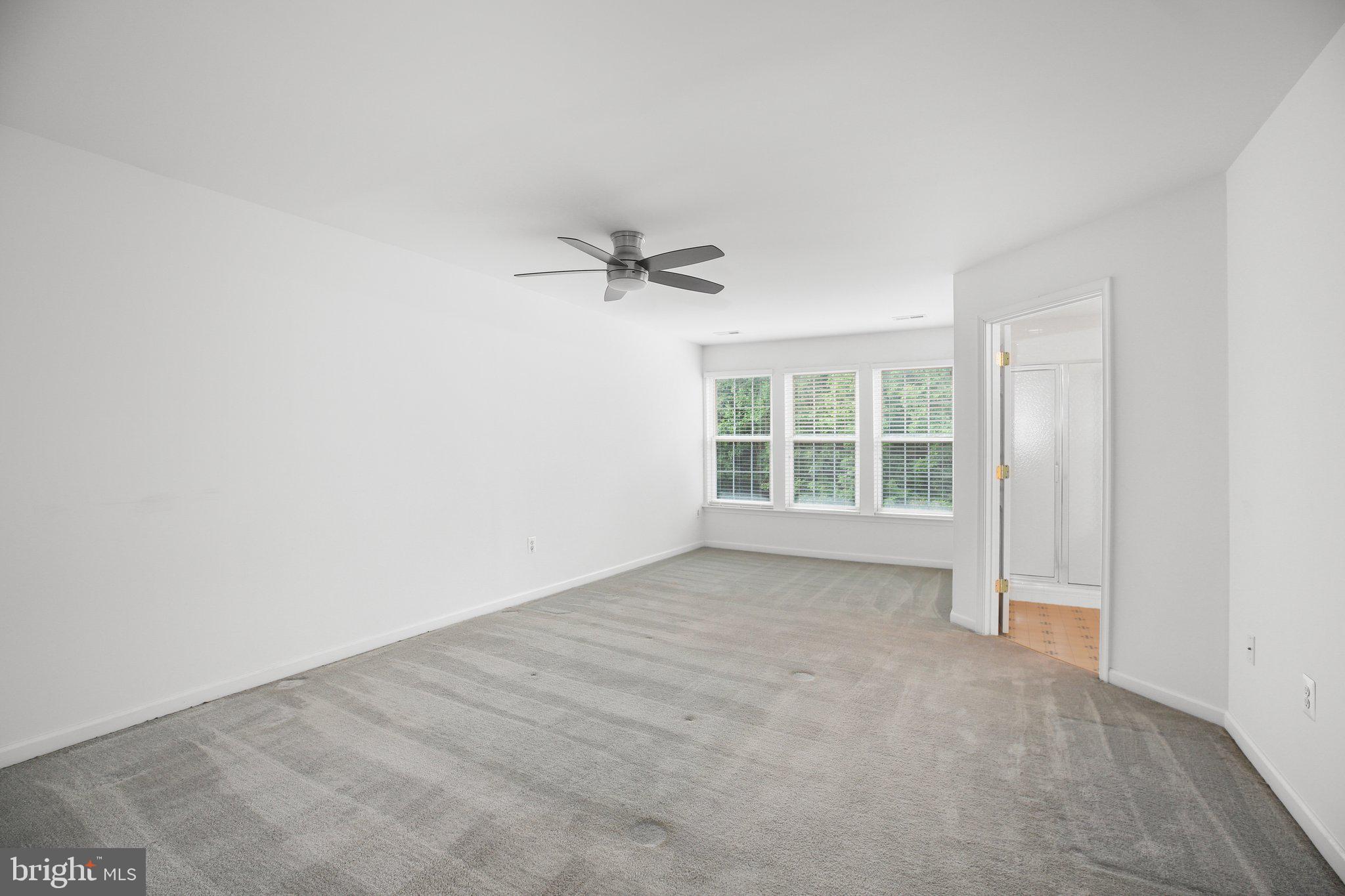 3906 Fountain Bridge Ct