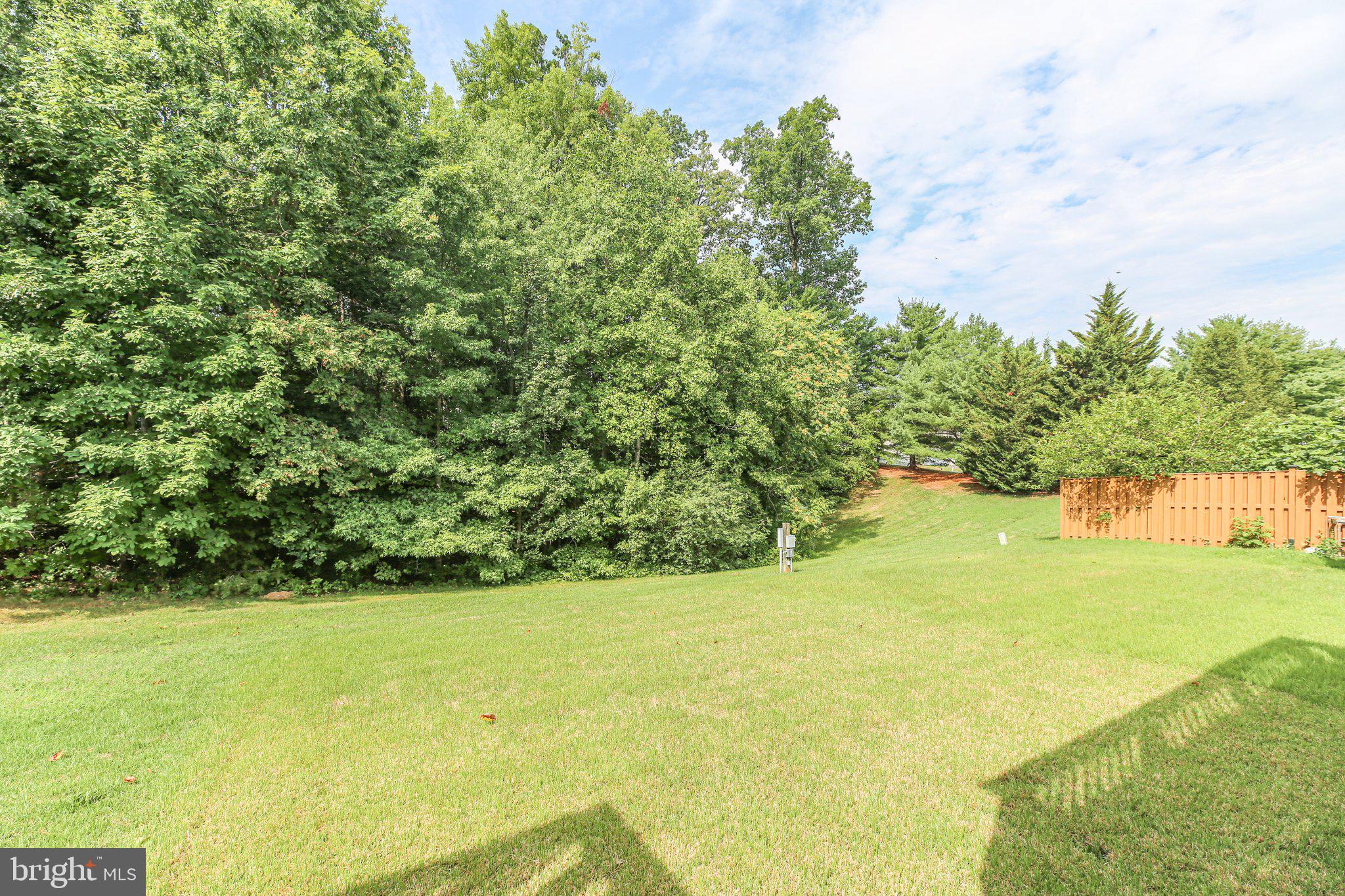 3906 Fountain Bridge Ct