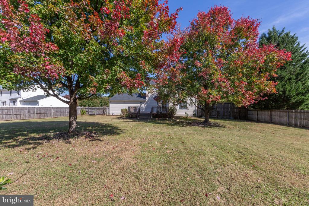 6019 Three Cedars Ln