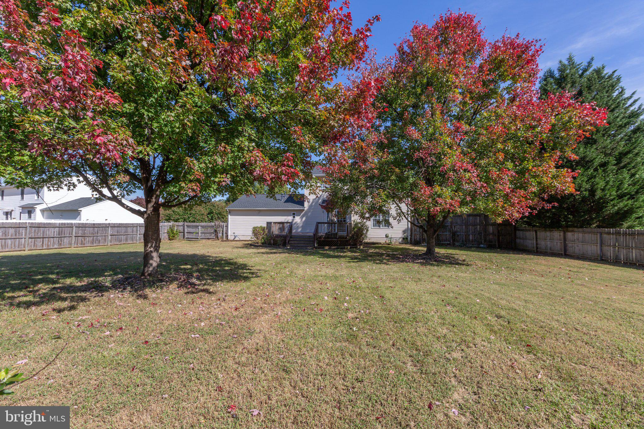 6019 Three Cedars Ln