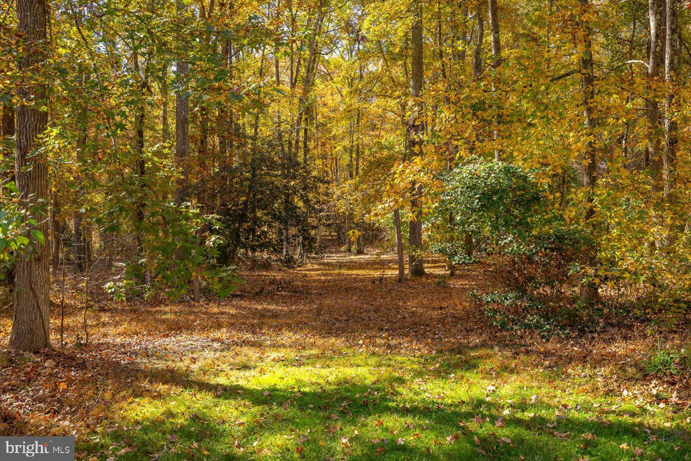 13301 Golden Oaks Dr