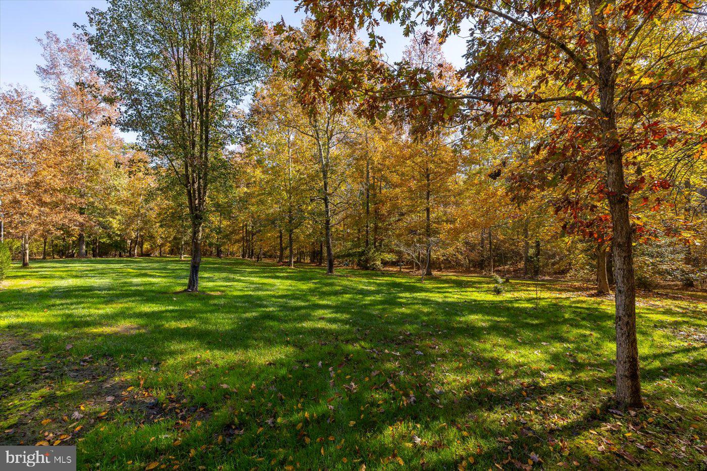 13301 Golden Oaks Dr