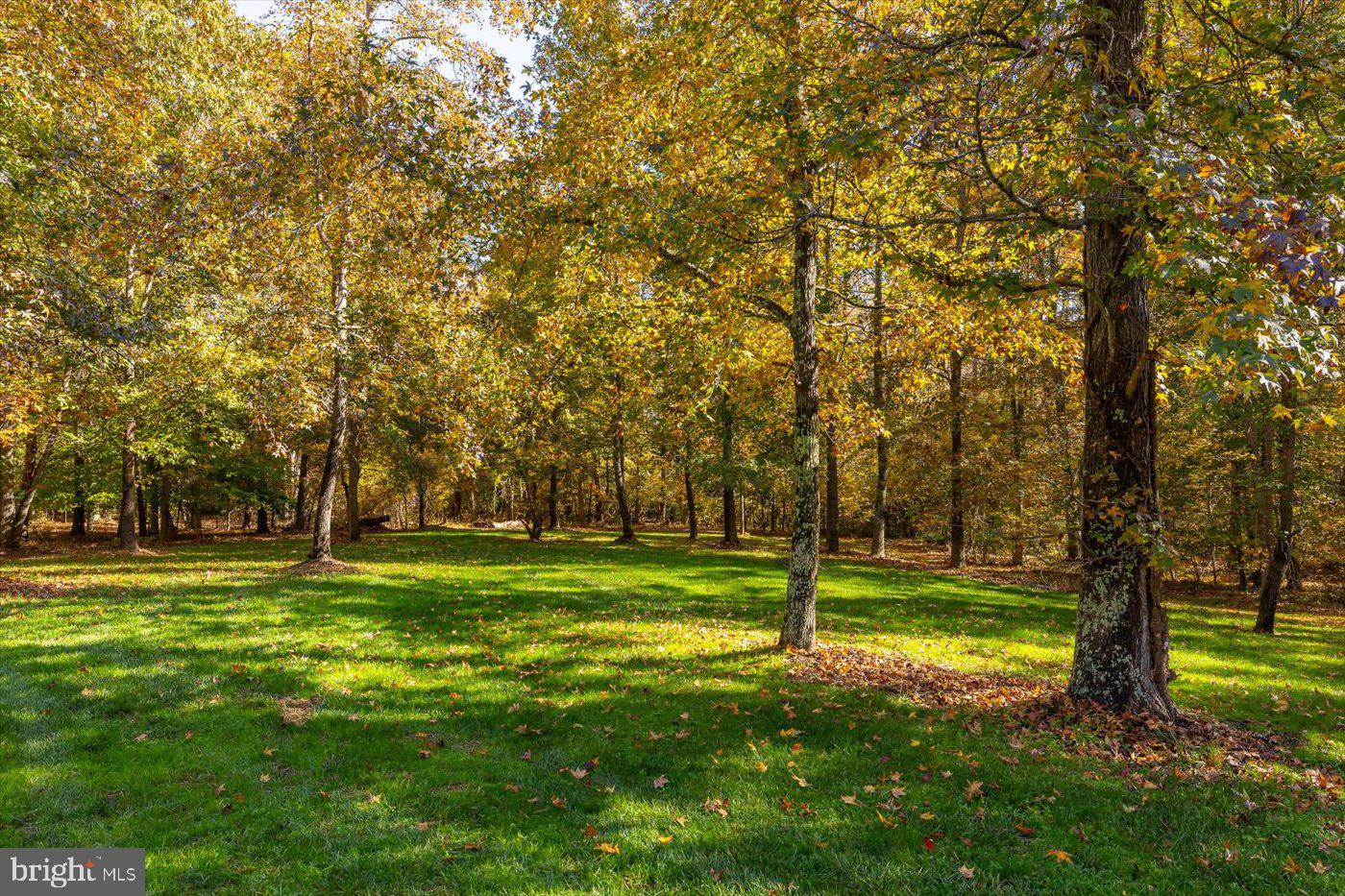 13301 Golden Oaks Dr