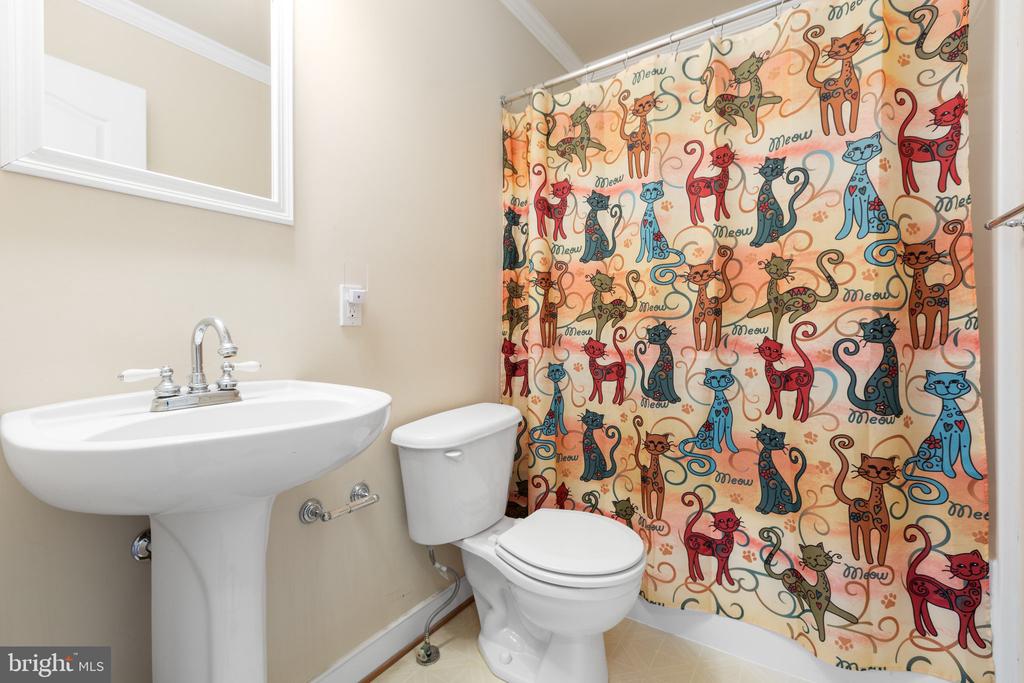 10707 Tricia Pl