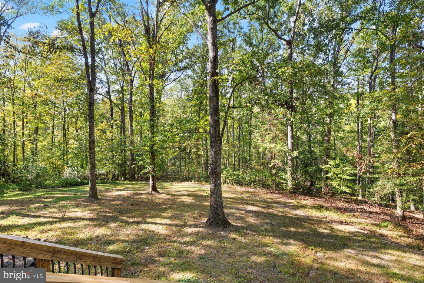 12905 SPOTSWOOD FURNACE ROAD