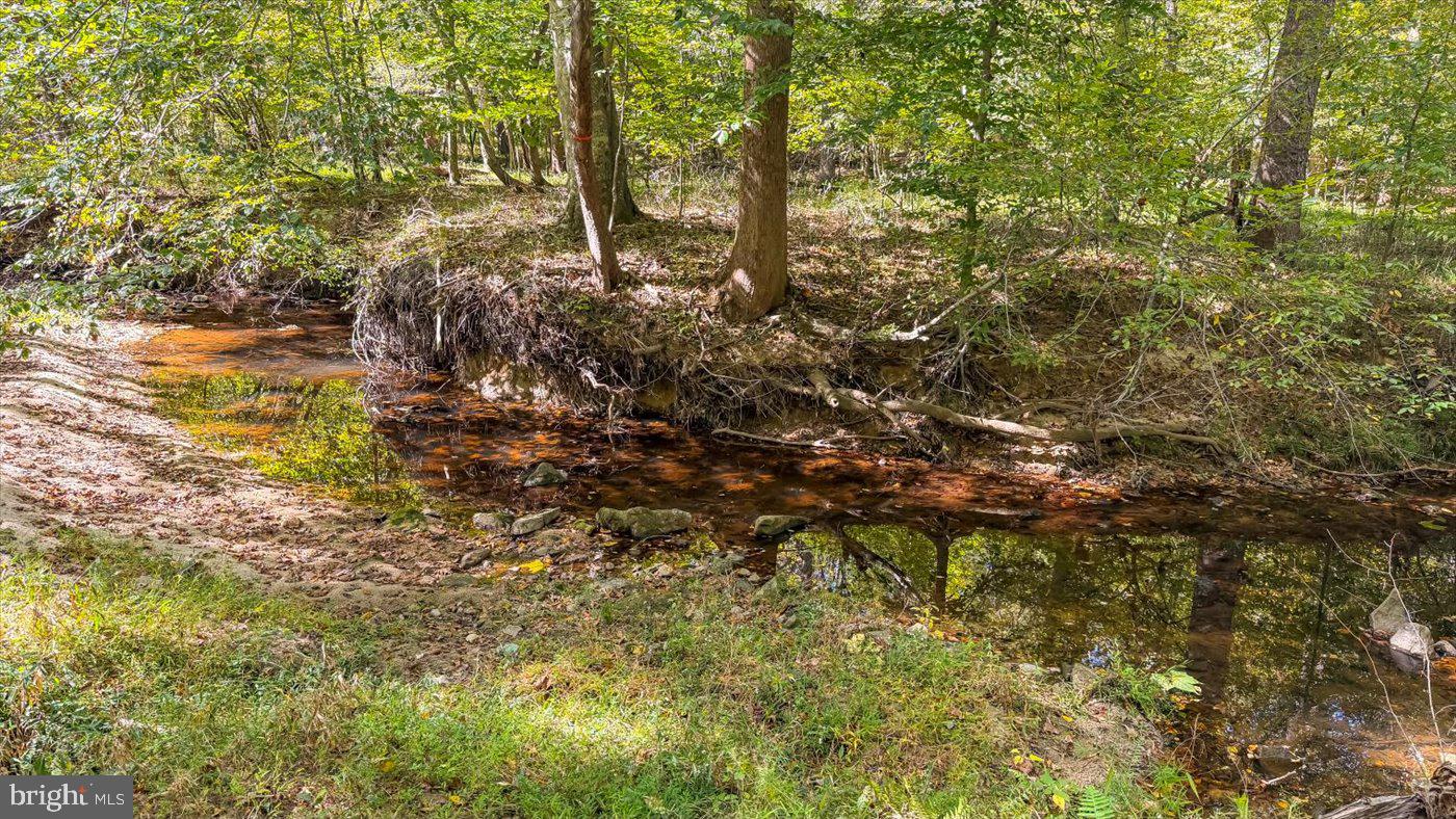 12905 SPOTSWOOD FURNACE ROAD