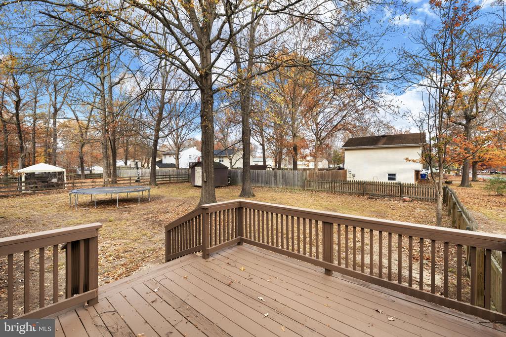 419 PLEASANTS DRIVE