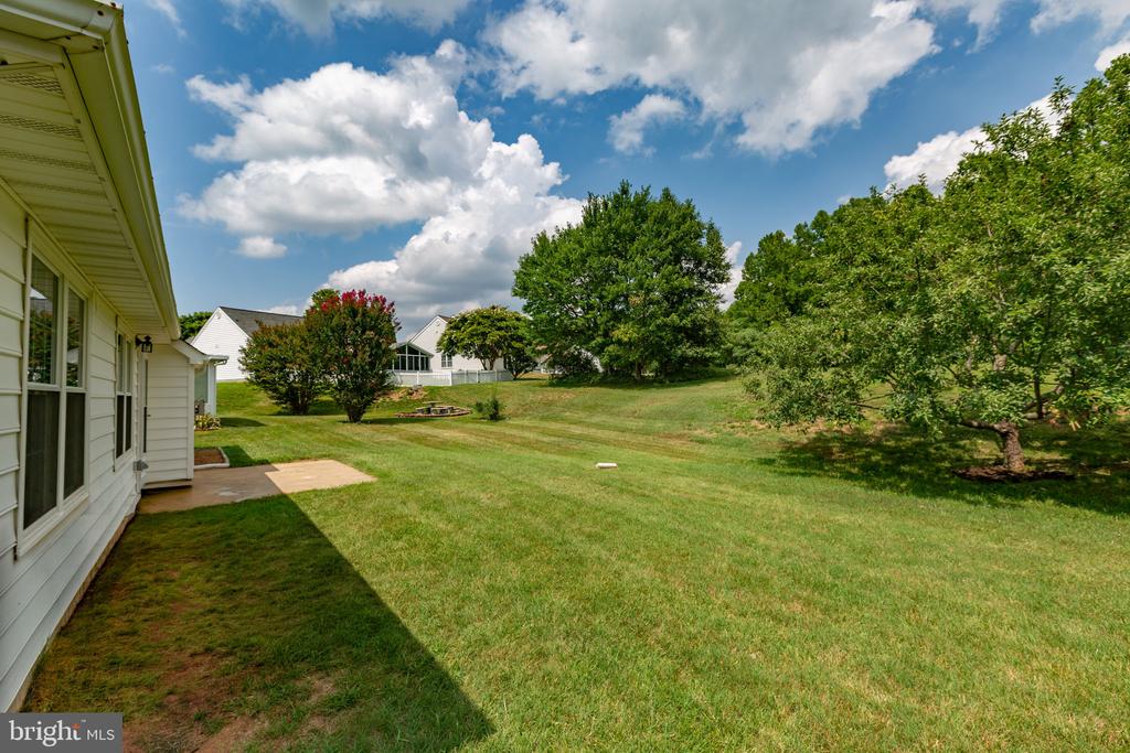 11513 ABINGDON COURT