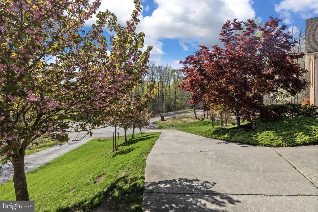 9504 TRENTHAM TRAIL