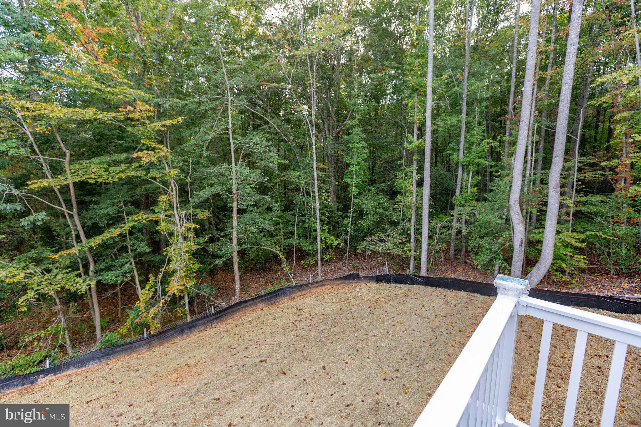 501 Wiley Lane
