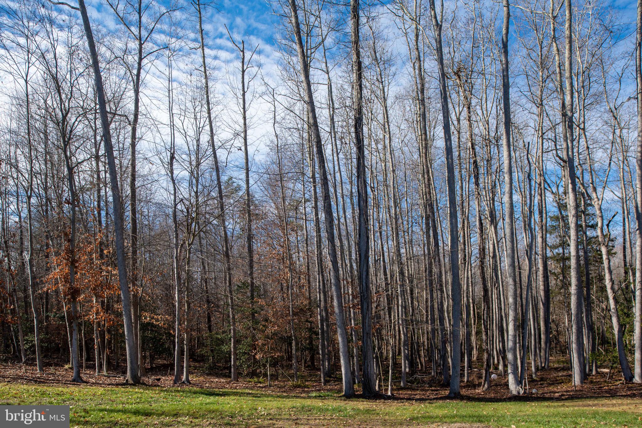 40 SOUTHERN VIEW DRIVE