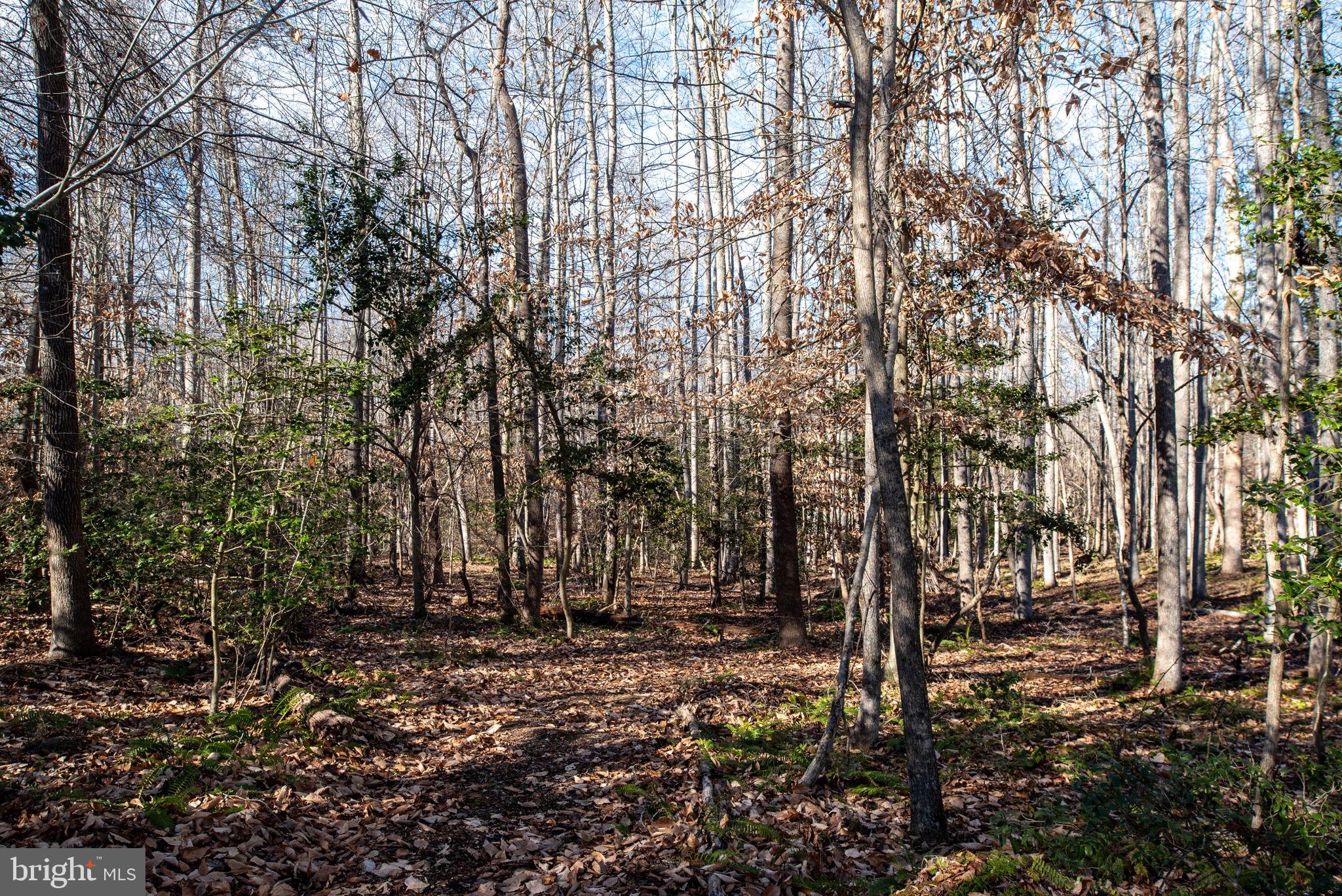 40 SOUTHERN VIEW DRIVE