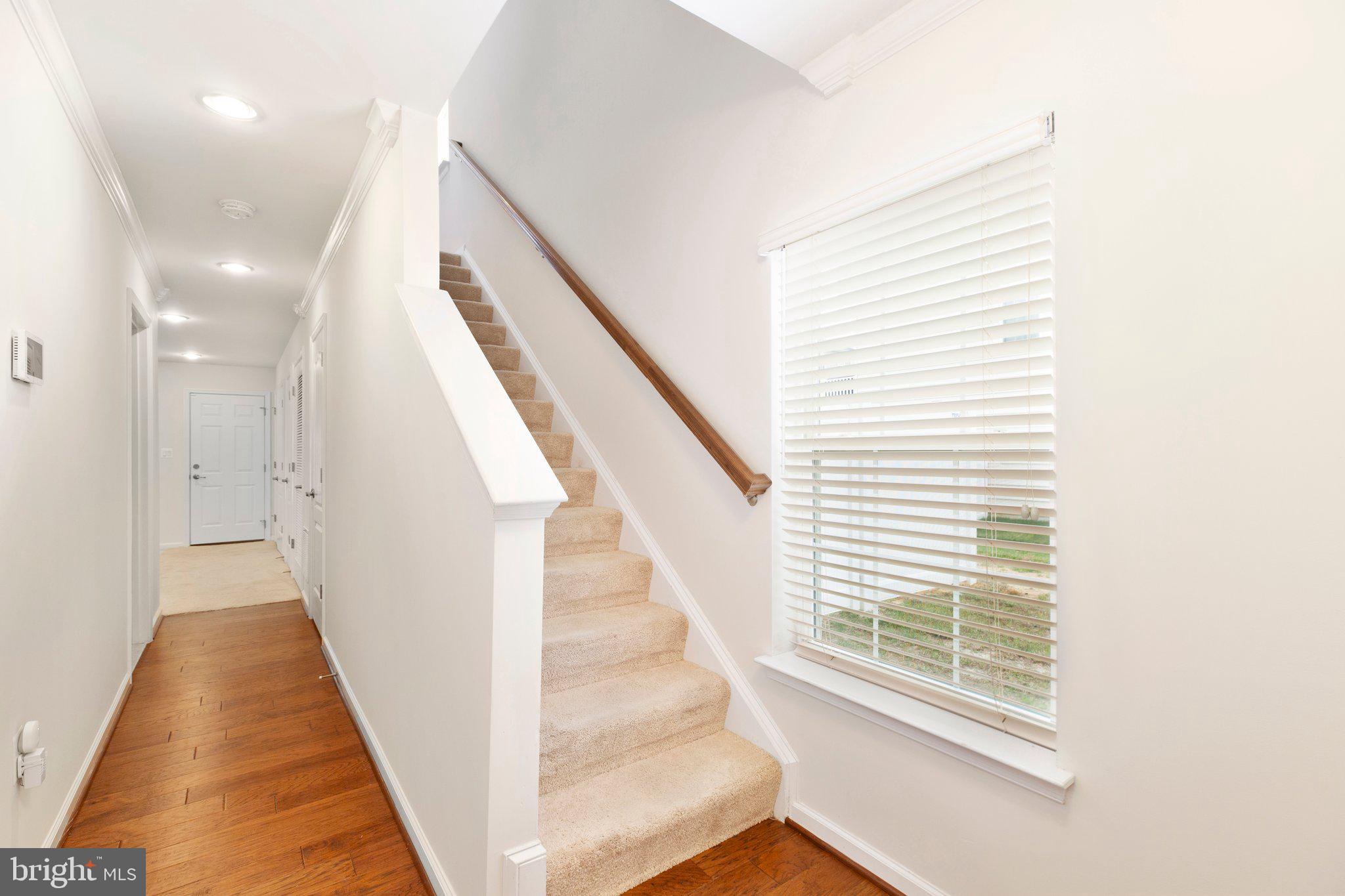 141 Tree Line Dr