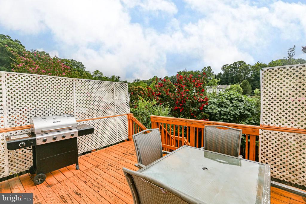 302 Munsons Hill Ct
