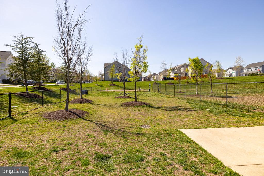 225 SMOKEBUSH DRIVE