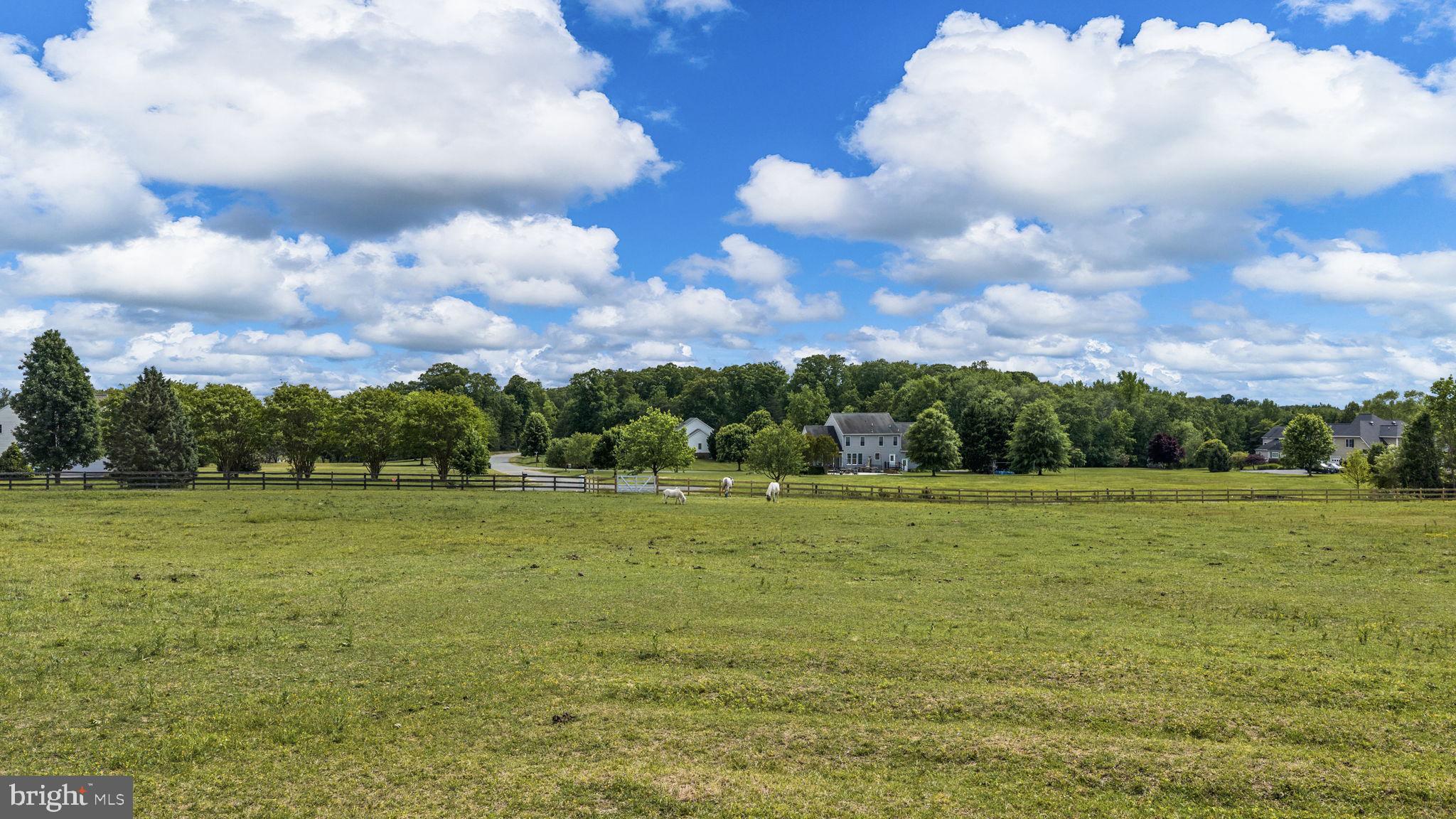 104 RABBIT ROAD