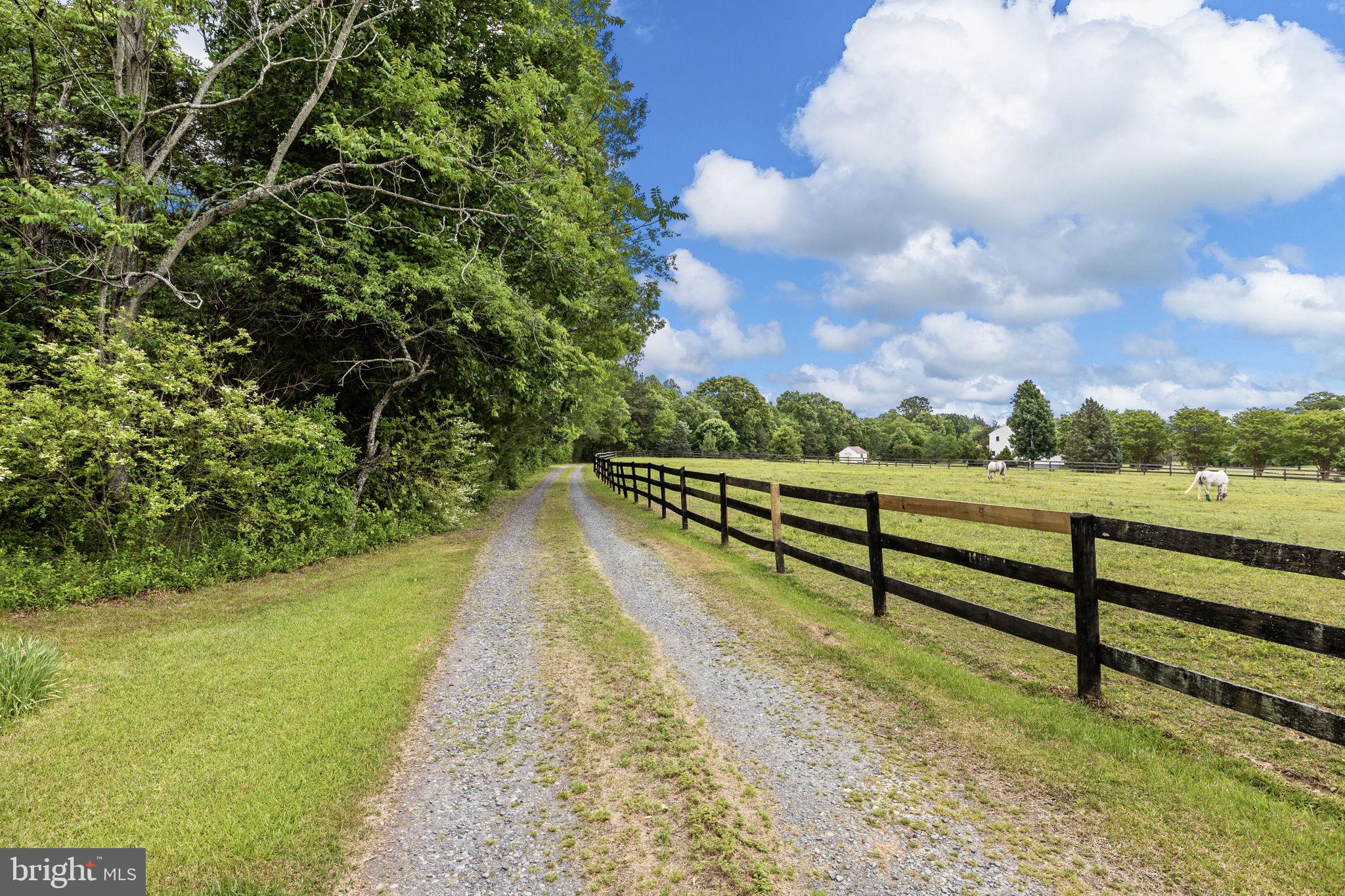 104 RABBIT ROAD