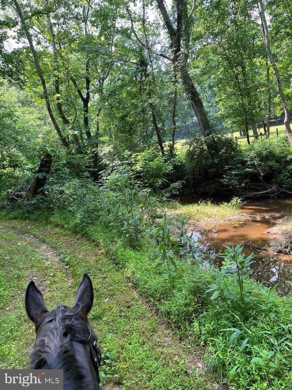 839 QUEEN ANNE DRIVE