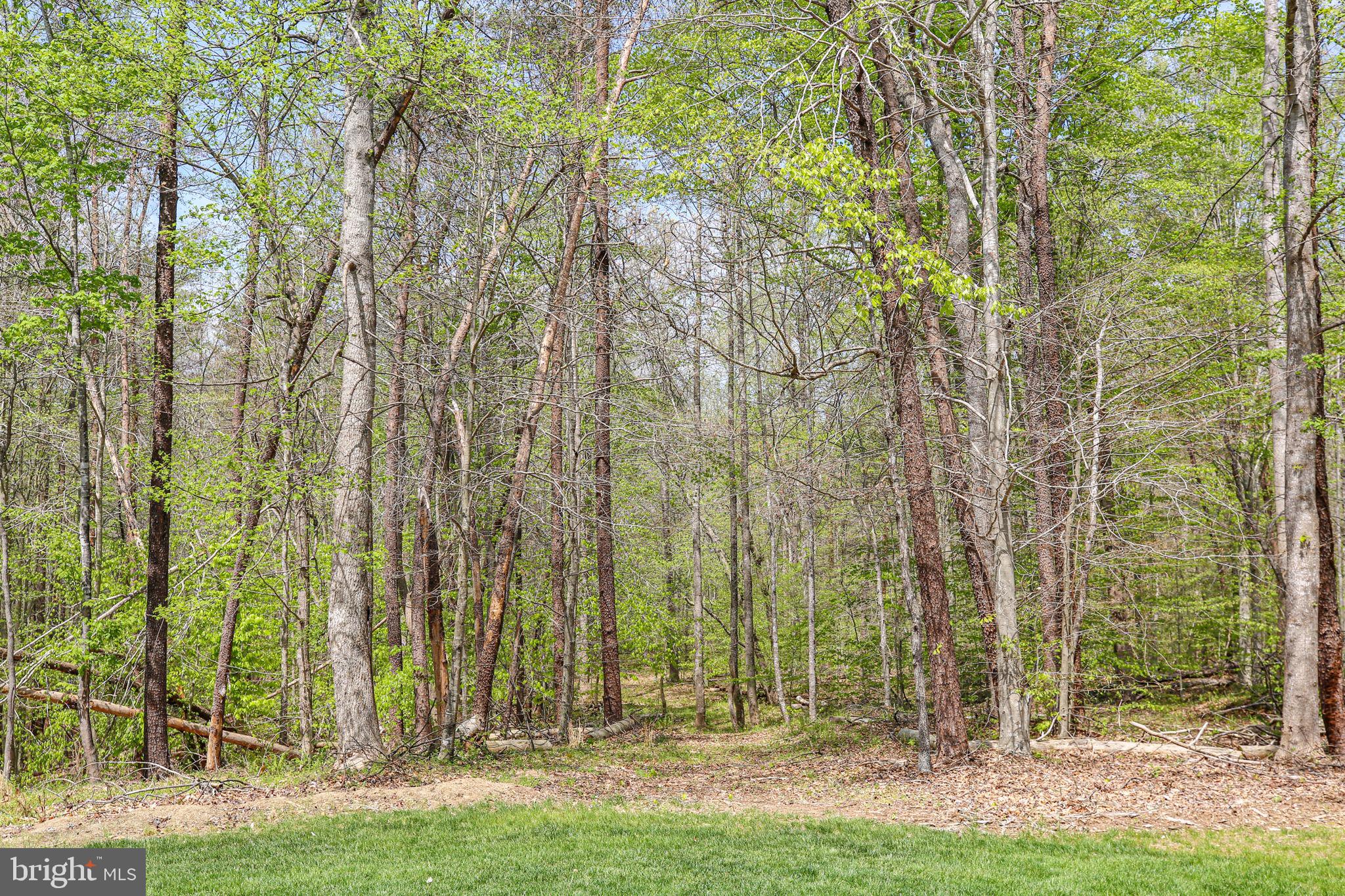 839 QUEEN ANNE DRIVE