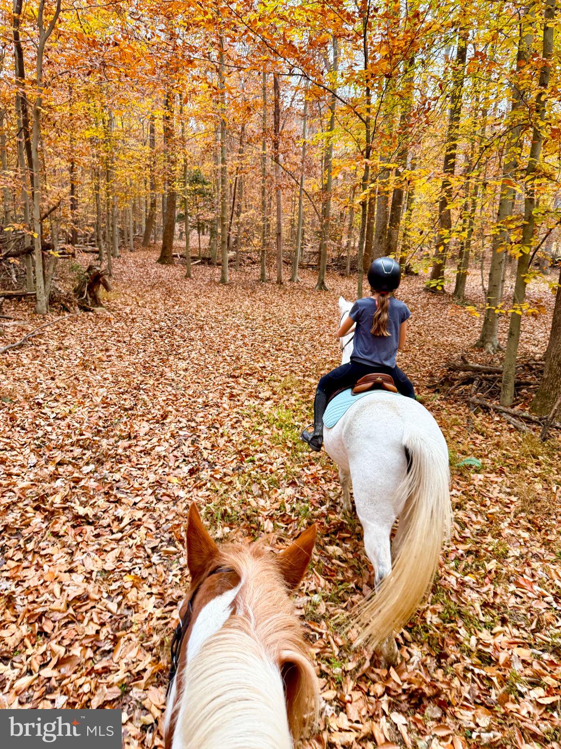 839 QUEEN ANNE DRIVE