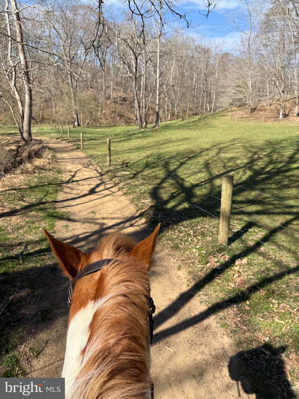 839 QUEEN ANNE DRIVE